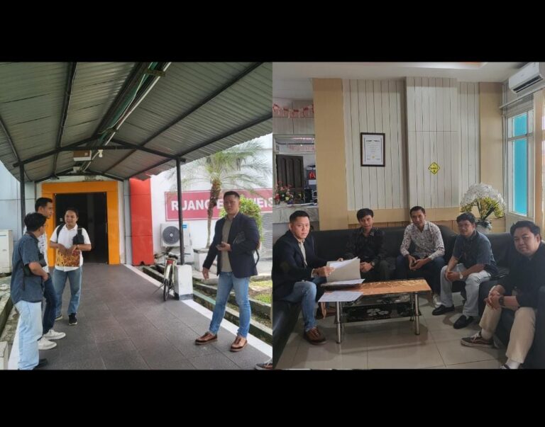 WhatsApp Image 2026-02-08 at 07.51.09