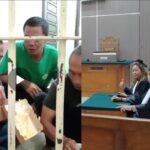 WhatsApp Image 2026-02-20 at 17.11.42 (1)