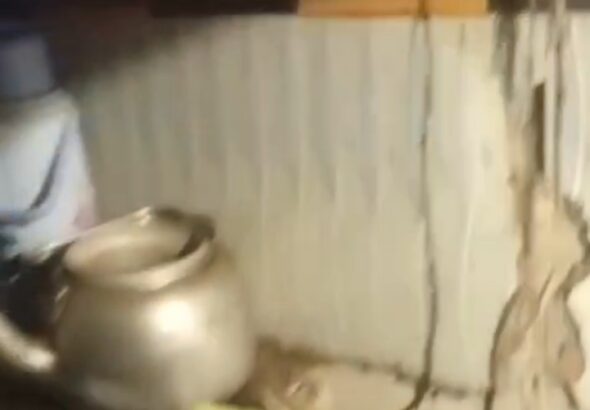 WhatsApp Image 2026-04-23 at 22.08.34