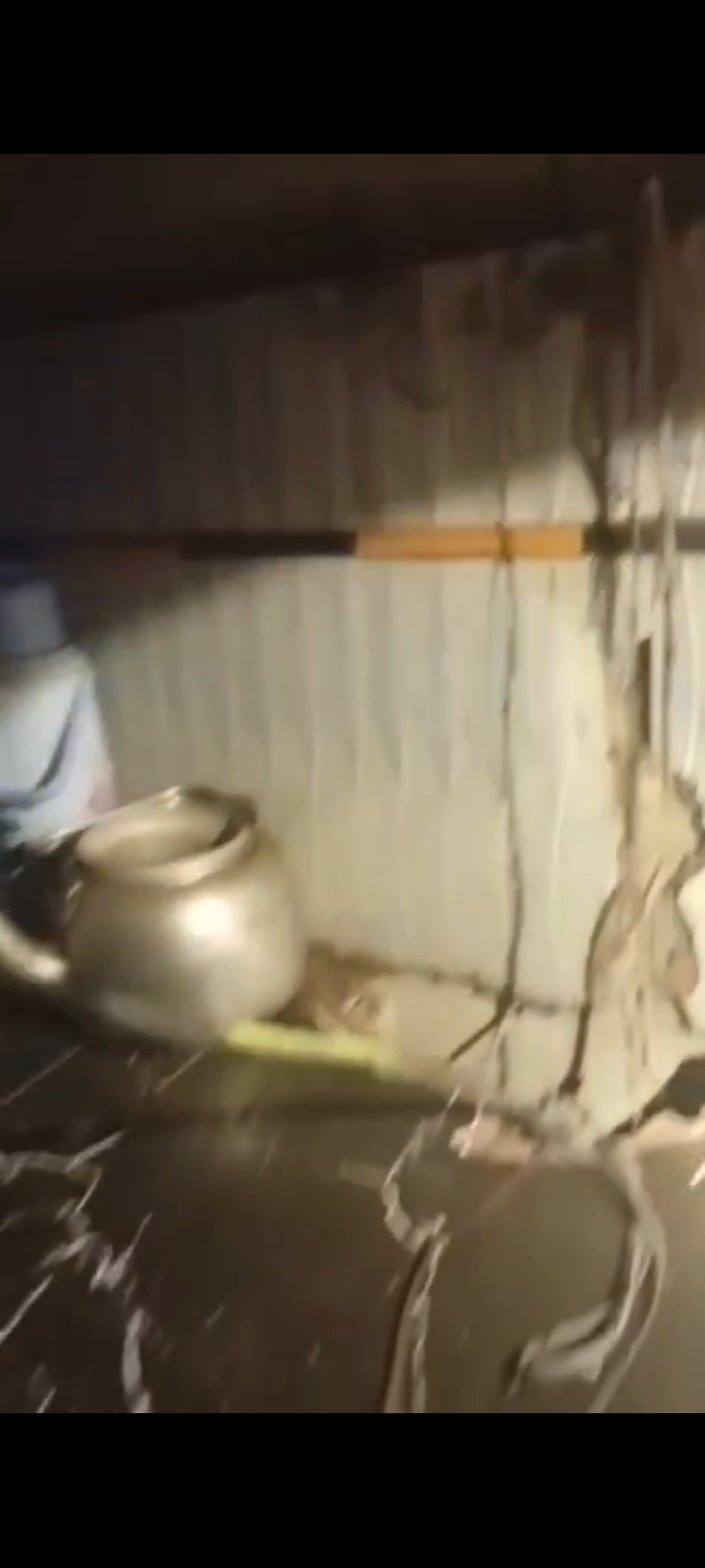 WhatsApp Image 2026-04-23 at 22.08.34