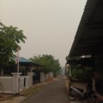 WhatsApp Image 2026-08-25 at 11.49.05